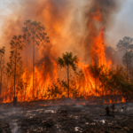 Super El Niño amplia alerta para riscos climáticos e geotécnicos nos municípios mineradores